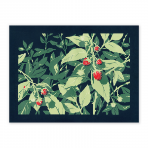 Wild Raspberries – poster by Morgan Moen