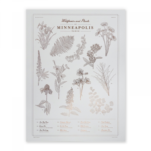 Wildflowers of Minneapolis Parks – poster by Studio on Fire