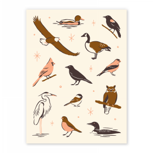 Birds of Minneapolis poster by Meghan Albers