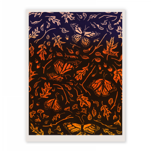 Falling Colors poster by Stacie Kammerling